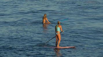 en ung kvinna sup surfa i en bikini på en stand-up paddleboard surfbräda.