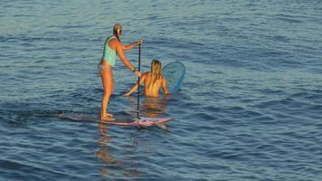 une jeune femme surf en bikini sur une planche de surf stand-up paddleboard. video