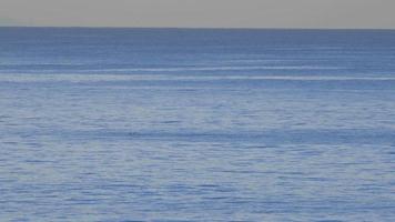 o pacífico oceano pacífico azul. video