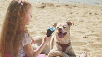 Mädchen isst Eis und füttert den Hund im Freien video