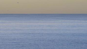 det fridfulla blå Stilla havet.