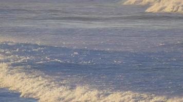 Waves break in surf line. video