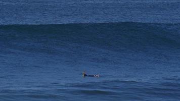 vågor bryter i surflinjen.