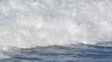 dettaglio della calce mentre le onde si infrangono nel surf.