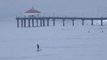 um homem janta de stand-up paddleboard perto do píer de manhattan beach. video