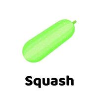 Vector illustration. Vegetable. Squash