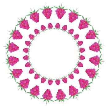 Vector illustration. Round frame of berries. Raspberry