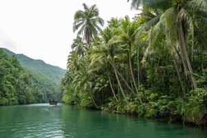 The river cruise on Bohol Island on the Philippines photo