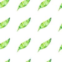 Vector colorful seamless pattern or background with green leaves isolated on white background. Can be used for web, print, wallpaper, spring summer fashion, fabric, textile, card background.
