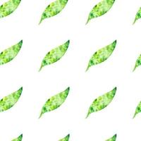 Vector colorful seamless pattern or background with green leaves isolated on white background. Can be used for web, print, wallpaper, spring summer fashion, fabric, textile, card background.