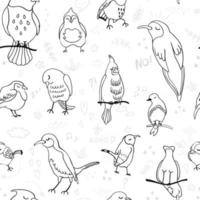 Vector seamless background with black and white outline illustration of birds. Can be used as wallpaper, web page, surface textures, wrapping paper, childish textile print, baby wear