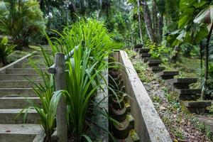 el jardín botánico de kuala lumpur foto