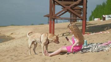 niña come helado y alimenta al perro al aire libre video