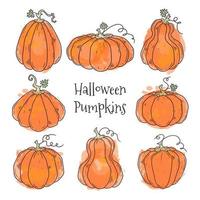 Vector hand drawn illustrations. Realistic symbol of Halloween - pumpkin.