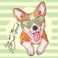 vector retrato de un lindo perro corgi con gafas.