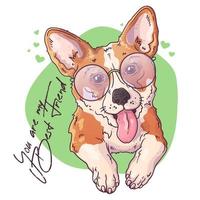 Vector sketching illustrations. Portrait of a cute corgi dog.