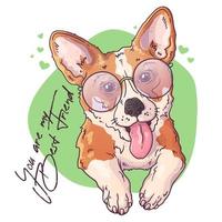 Vector sketching illustrations. Portrait of a cute corgi dog.