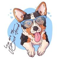 Vector sketching illustrations. Portrait of a cute corgi dog.