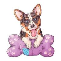 Vector portrait of a cute corgi dog on the pillow.