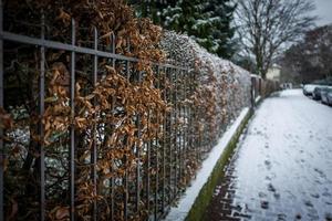 Snowy area in Frankfurt Bockenheim photo