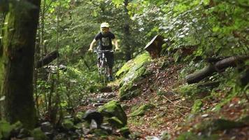 un hombre va en bicicleta de montaña en un bosque. video