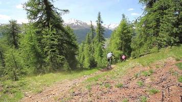 en grupp mountainbikecyklar som rider i en skog. video