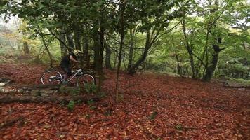 tiro de seguimiento de un hombre en bicicleta de montaña en un bosque. video