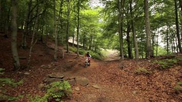 carrellata di un uomo in mountain bike in una foresta.
