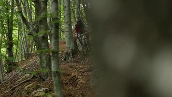 en man går mountainbike i en skog. video