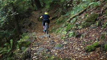 un uomo va in mountain bike in una foresta.