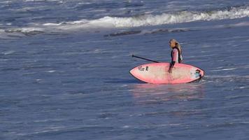 en kvinna rider en sup stand up paddleboard medan du surfar på en rosa surfbräda. video