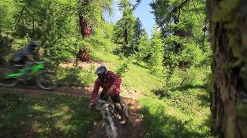 un gruppo di mountain bike a cavallo in una foresta. video