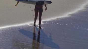uma jovem de biquíni, caminhando com sua prancha de surf longboard. video