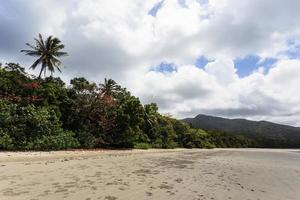 Cape Tribulation Queensland Australia photo