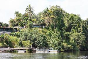 Daintree River Queensland Australia photo