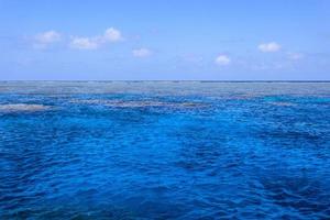 Great Barrier Reef Above Water Queensland Australia photo