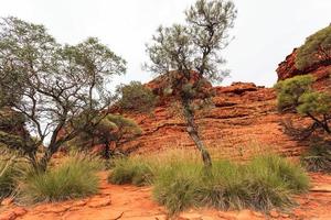 Kings Canyon Northern Territory Australia photo