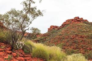 Kings Canyon Northern Territory Australia photo