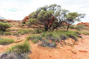 Kings Canyon Northern Territory Australia photo