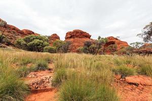 Kings Canyon Territorio del Norte Australia foto