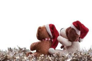 Two teddy bears enjoying Christmas and New Year Eve, New Year celebration concept. Isolated on white background. photo