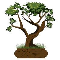 Árbol bonsai. Bonsai japonés en la maceta y con césped alrededor. iconos de plantas aisladas sobre fondo blanco. imagen detallada. vector