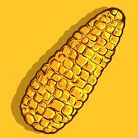 Vector art of a yellow ripe corn cob. Drawing of an isolated summer and autumn cereal.Healthy food cartoon illustration of a corncob.