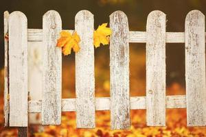 White close-up wooden fence with two yellow leaves on it. Autumn background photo