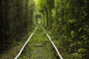 Natural tunnel of love formed by trees in Ukraine, Klevan. old railway in the beautiful tunnel in summer day. photo out of focus on the background.