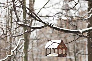 Wooden birdhouse for feeding birds under the snow on a tree branch. Winter time photo