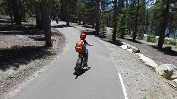 en pojke åker sin mountainbike på en stenlagd stig i skogen. video