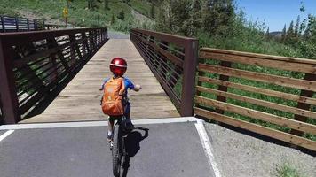 A boy rides his mountain bike across a bridge in the woods. video