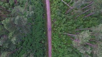 Aerial view of a mountain biker on a scenic singletrack trail. video