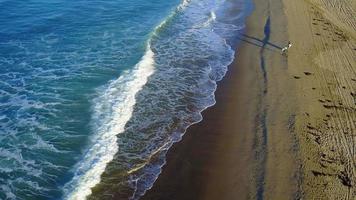 Aerial drone uav view surfers at the beach and ocean. video
